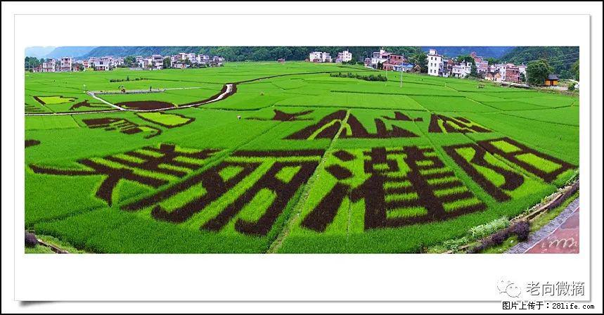 【春天，广西桂林灌阳县向您发出邀请！】开篇 - 游山玩水 - 怀化生活社区 - 怀化28生活网 hh.28life.com