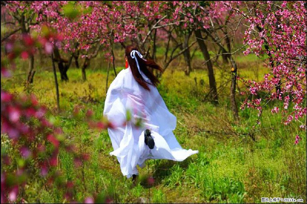 【春天,广西桂林灌阳县向您发出邀请!】官庄村有个醉美的桃花园 - 游山玩水 - 怀化生活社区 - 怀化28生活网 hh.28life.com