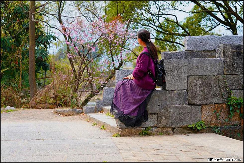 【春天，广西桂林灌阳县向您发出邀请！】江口老街又逢春 - 游山玩水 - 怀化生活社区 - 怀化28生活网 hh.28life.com