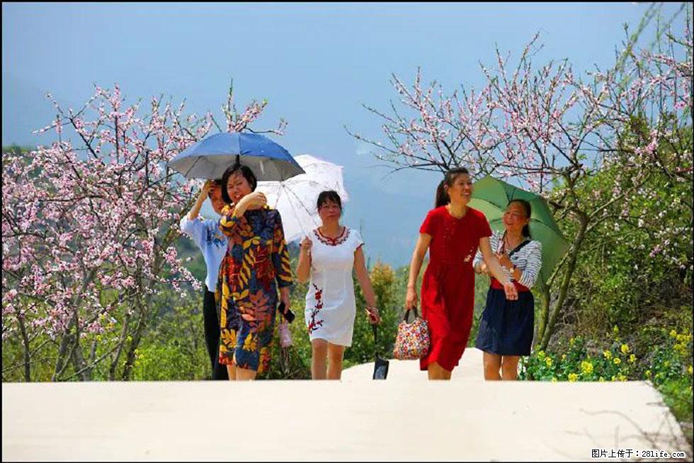 【春天，广西桂林灌阳县向您发出邀请！】望月岭上桃花开 - 游山玩水 - 怀化生活社区 - 怀化28生活网 hh.28life.com