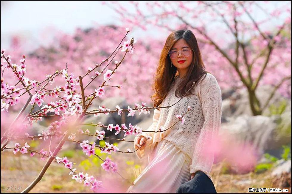 【春天，广西桂林灌阳县向您发出邀请！】望月岭上桃花开 - 游山玩水 - 怀化生活社区 - 怀化28生活网 hh.28life.com