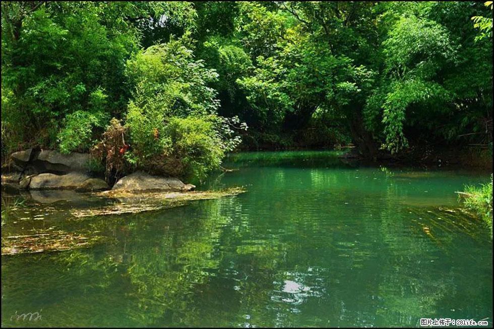 【春天，广西桂林灌阳县向您发出邀请！】如梦似幻莲溪庐 - 游山玩水 - 怀化生活社区 - 怀化28生活网 hh.28life.com