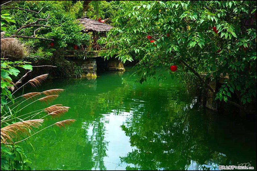 【春天，广西桂林灌阳县向您发出邀请！】如梦似幻莲溪庐 - 游山玩水 - 怀化生活社区 - 怀化28生活网 hh.28life.com