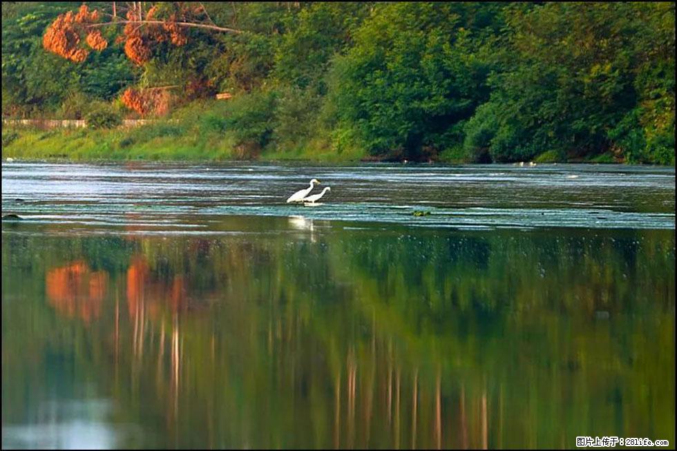 【春天,广西桂林灌阳县向您发出邀请!】熊家寨湿地公园 - 游山玩水 - 怀化生活社区 - 怀化28生活网 hh.28life.com