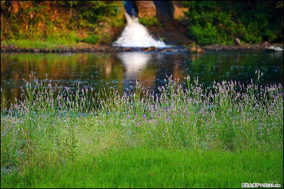 【春天,广西桂林灌阳县向您发出邀请!】熊家寨湿地公园 - 游山玩水 - 怀化生活社区 - 怀化28生活网 hh.28life.com