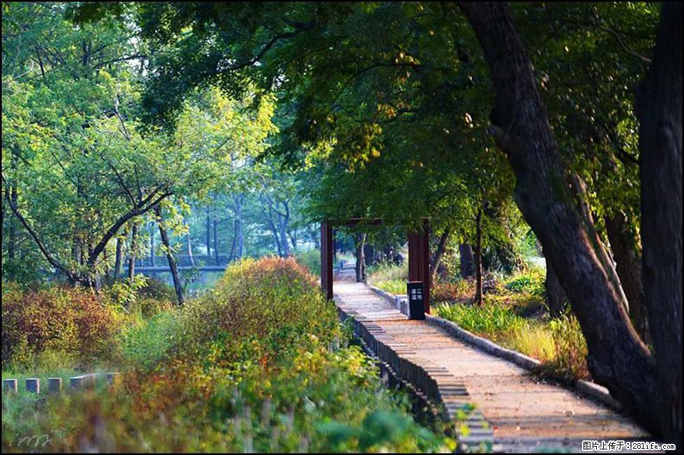 【春天,广西桂林灌阳县向您发出邀请!】熊家寨湿地公园 - 游山玩水 - 怀化生活社区 - 怀化28生活网 hh.28life.com