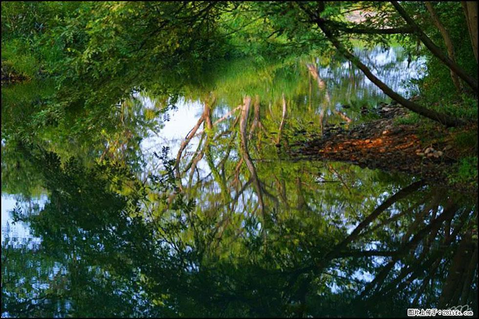 【春天,广西桂林灌阳县向您发出邀请!】熊家寨湿地公园 - 游山玩水 - 怀化生活社区 - 怀化28生活网 hh.28life.com