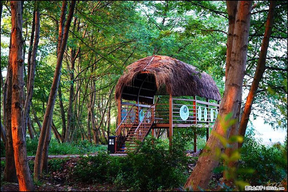 【春天,广西桂林灌阳县向您发出邀请!】熊家寨湿地公园 - 游山玩水 - 怀化生活社区 - 怀化28生活网 hh.28life.com