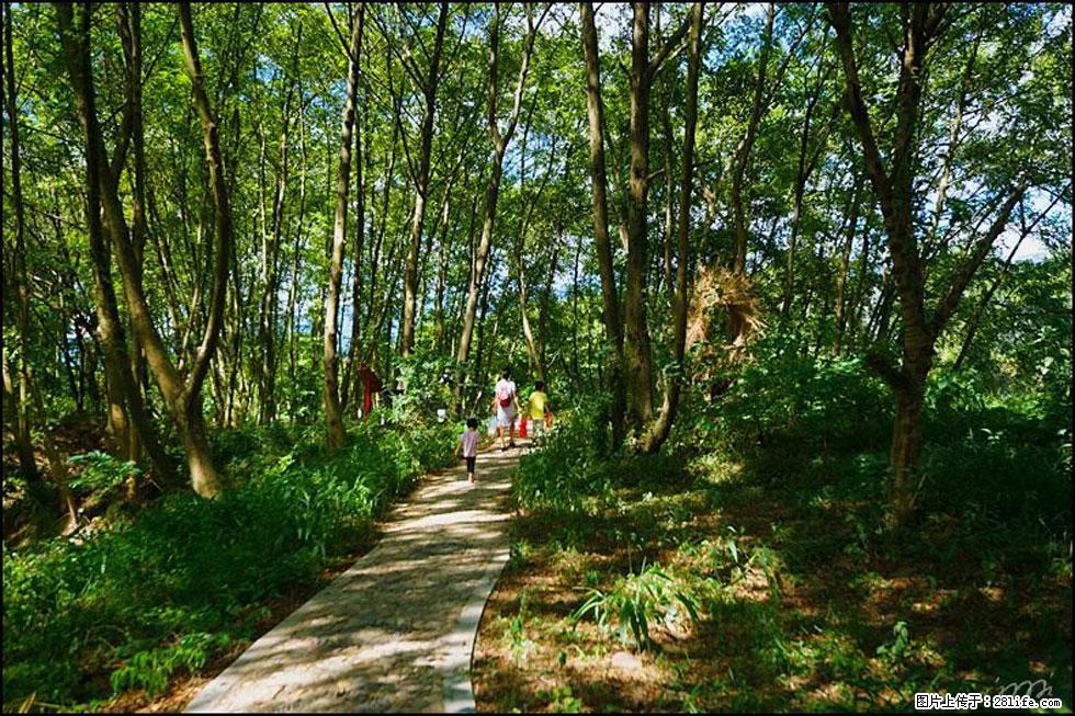 【春天,广西桂林灌阳县向您发出邀请!】熊家寨湿地公园 - 游山玩水 - 怀化生活社区 - 怀化28生活网 hh.28life.com