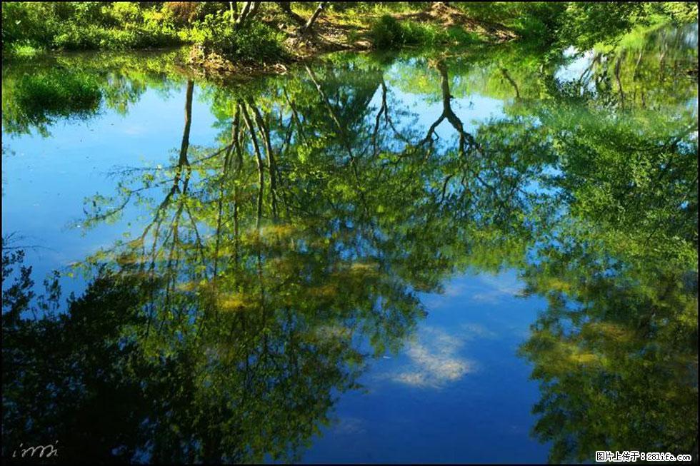 【春天,广西桂林灌阳县向您发出邀请!】熊家寨湿地公园 - 游山玩水 - 怀化生活社区 - 怀化28生活网 hh.28life.com