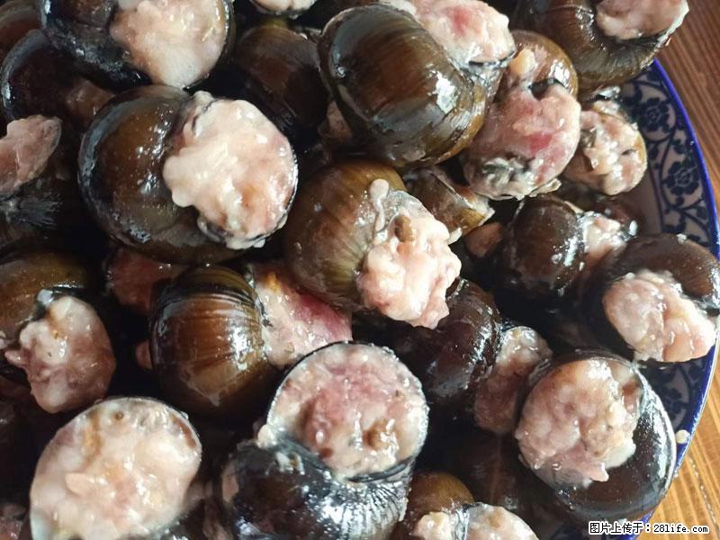 （舌尖上的乡村）灌阳：让人口齿留香的田螺酿 - 2023年07月31日 桂林日报第6版刊发 - 美食天地 - 怀化生活社区 - 怀化28生活网 hh.28life.com