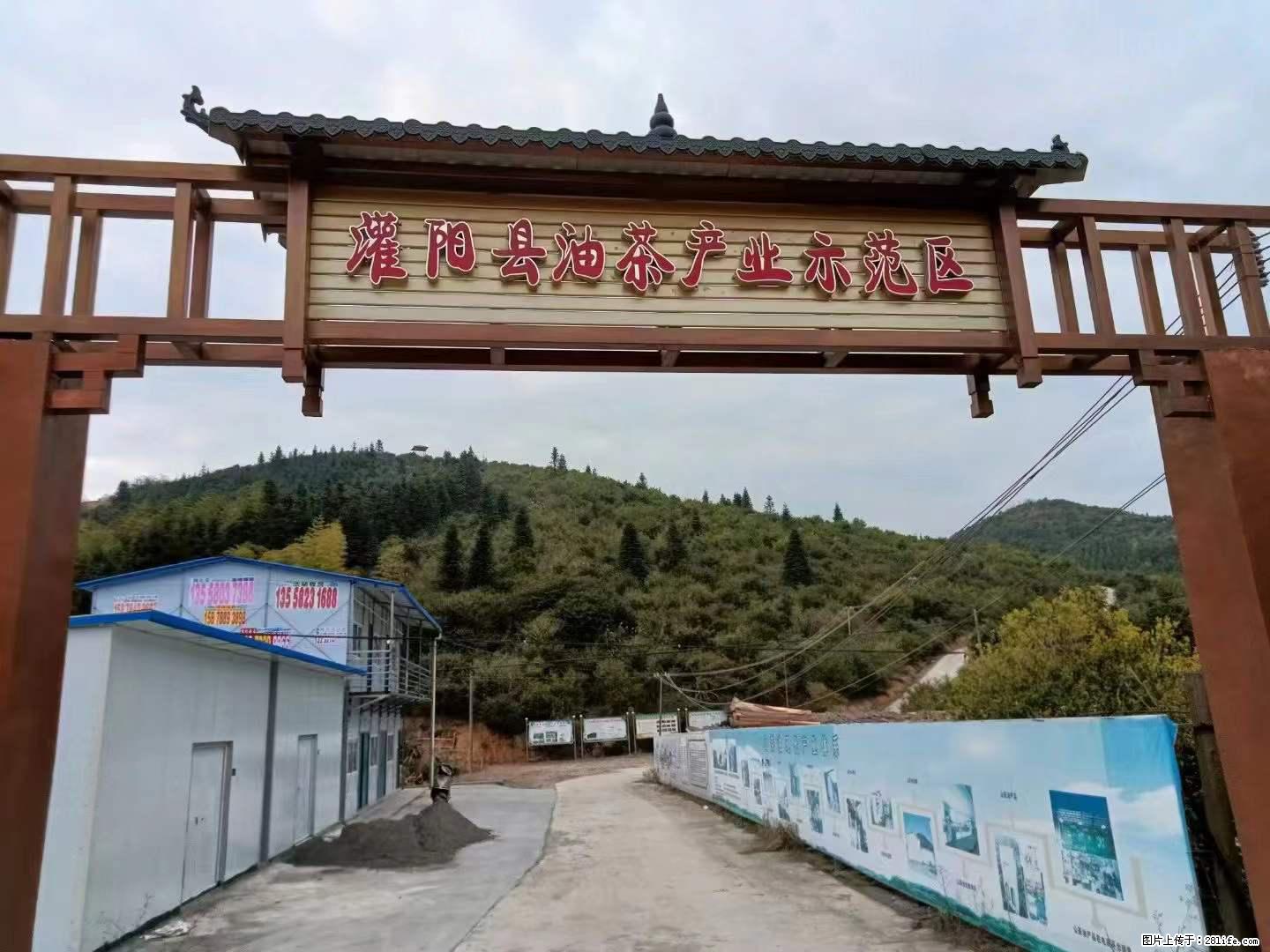 【灌阳县油茶产业示范区】一个有着充实的精神生活的人,对待身外之物自会有一种淡泊的态度 - 美食天地 - 怀化生活社区 - 怀化28生活网 hh.28life.com