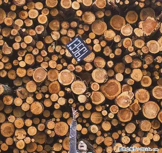 辞掉工作周游世界?现在他们在洗厕所…… - 游山玩水 - 怀化生活社区 - 怀化28生活网 hh.28life.com