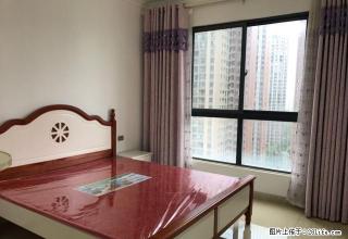 体育中心《盛世华都》全新精装3房带全套家电中间楼层拎包住 - 怀化28生活网 hh.28life.com