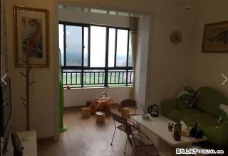 个人出租城东家园(新市政府) 1室1厅1卫 - 怀化28生活网 hh.28life.com