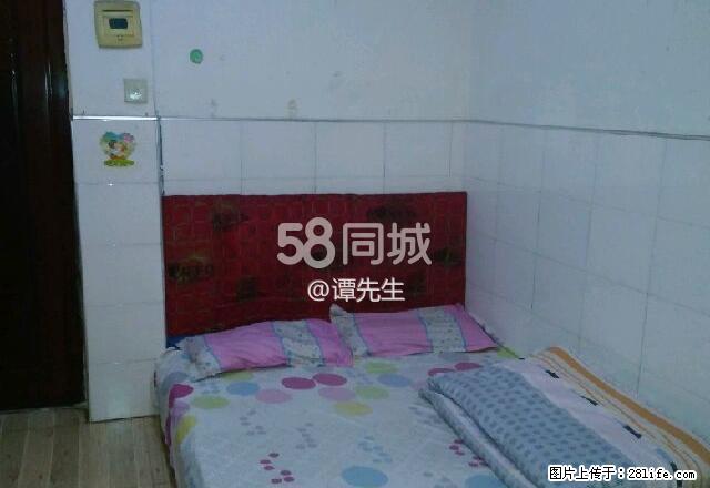 中心市场国美电器 1室0厅1卫 - 房屋出租 - 房屋租售 - 怀化分类信息 - 怀化28生活网 hh.28life.com