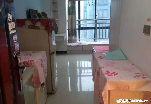 新天地豪华公寓出租 整房采光好,家电齐全 - 房屋出租 - 房屋租售 - 怀化分类信息 - 怀化28生活网 hh.28life.com