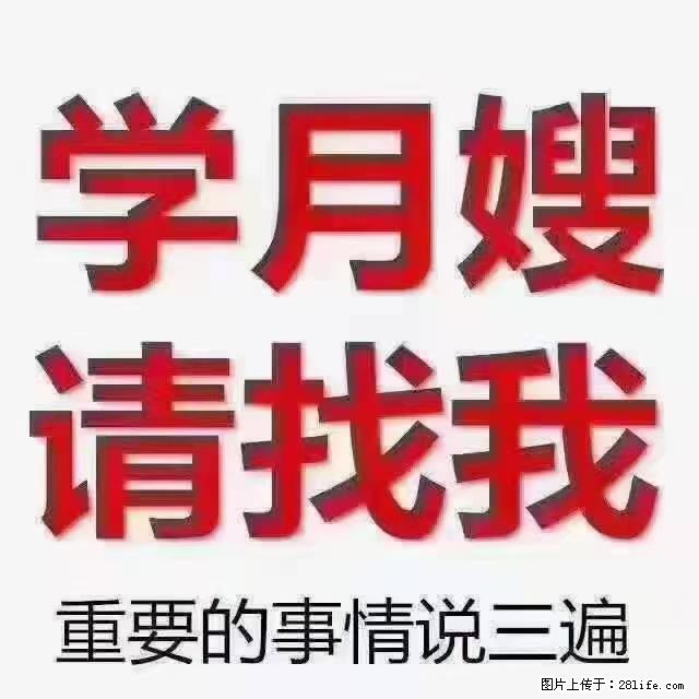 【招聘】月嫂,上海徐汇区 - 职场交流 - 怀化生活社区 - 怀化28生活网 hh.28life.com