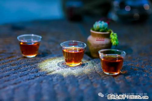 时间果百年古树2025年春红茶 - 购物交流 - 怀化生活社区 - 怀化28生活网 hh.28life.com