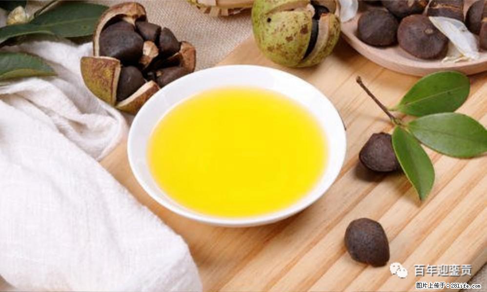 揭秘茶油的5大核心营养成分!被称为人体健康的“守护盾”! - 怀化生活资讯 - 怀化28生活网 hh.28life.com