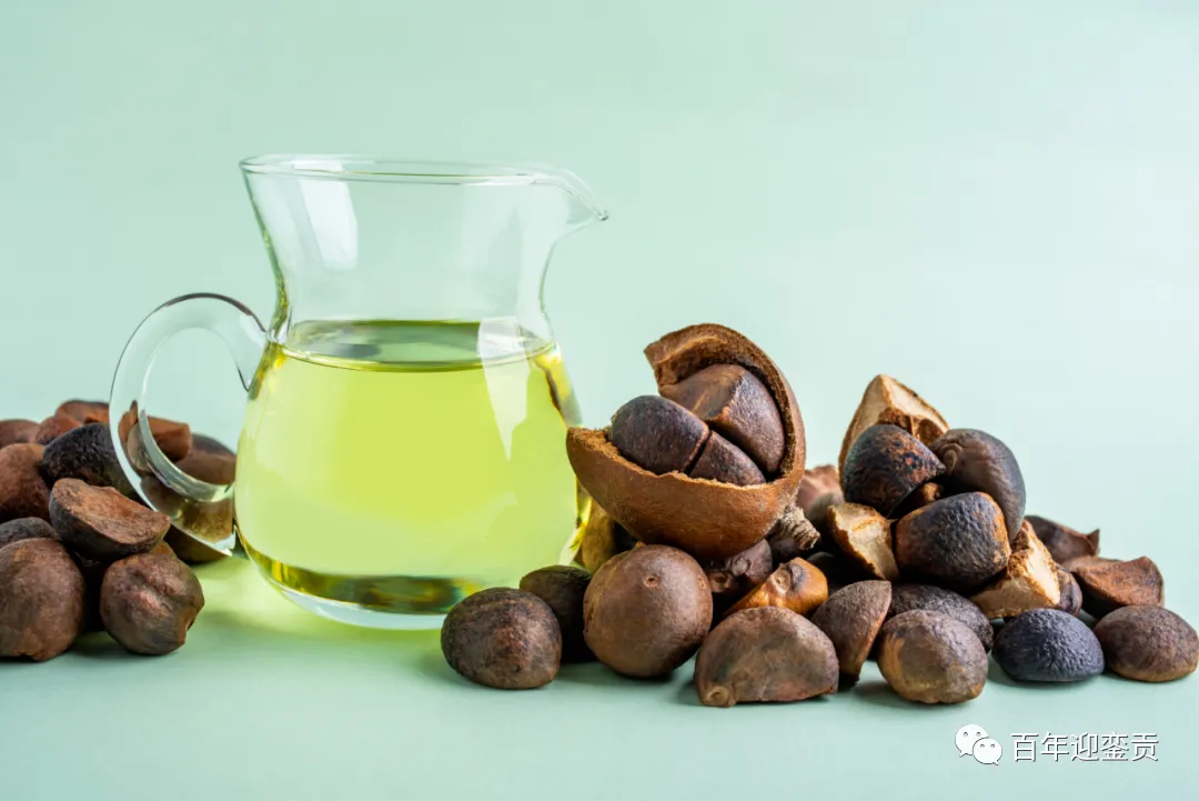 世界没有真相,只有认知,最好的食用油是中国的山茶油! - 怀化生活资讯 - 怀化28生活网 hh.28life.com