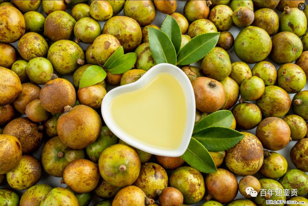 世界没有真相,只有认知,最好的食用油是中国的山茶油! - 怀化生活资讯 - 怀化28生活网 hh.28life.com