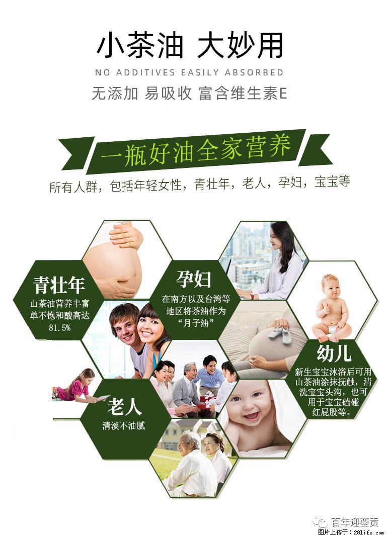 世界没有真相,只有认知,最好的食用油是中国的山茶油! - 怀化生活资讯 - 怀化28生活网 hh.28life.com