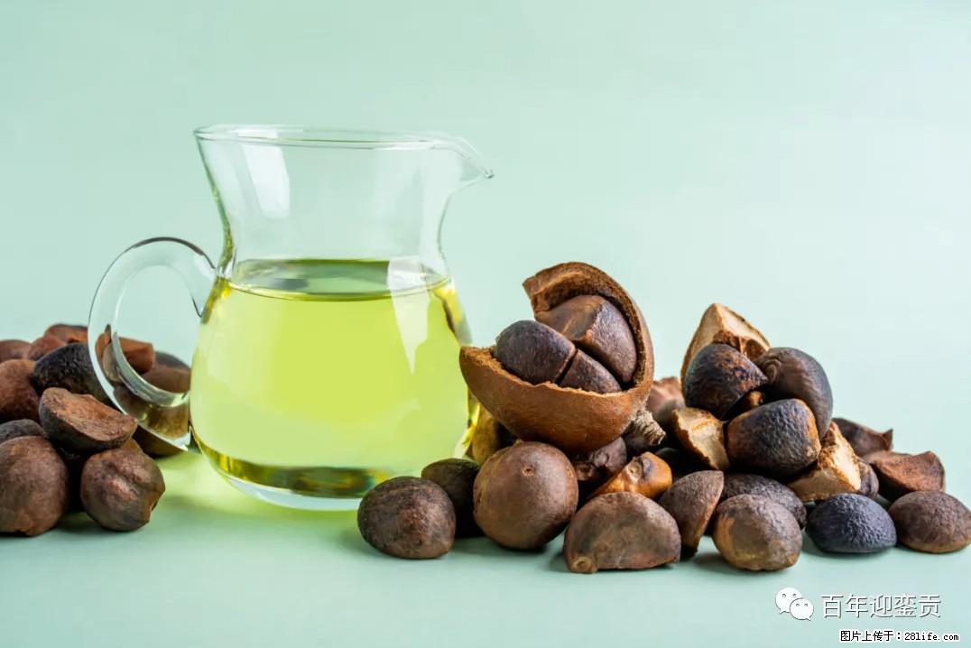 世界没有真相，只有认知，最好的食用油是中国的山茶油！ - 怀化生活资讯 - 怀化28生活网 hh.28life.com