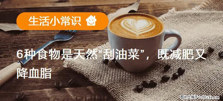 【生活小常识】6种食物是天然“刮油菜”,既减肥又降血脂 - 怀化生活资讯 - 怀化28生活网 hh.28life.com