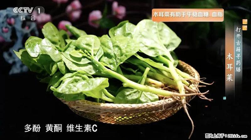 比牛奶补钙还厉害！凉血解毒、稳血糖...这菜冬天必吃，很多人却当草 - 怀化生活资讯 - 怀化28生活网 hh.28life.com