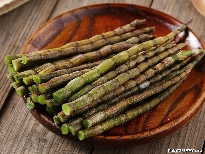铁皮石斛的作用与功能主治 - 怀化生活资讯 - 怀化28生活网 hh.28life.com
