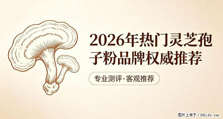 灵芝孢子粉含量越高越有效？2026 年七款热门品牌深度实测，肠胃敏感者避坑指南 - 怀化生活资讯 - 怀化28生活网 hh.28life.com